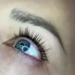 Detail laminace řas