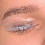 Barvevní řasBarvevní řas